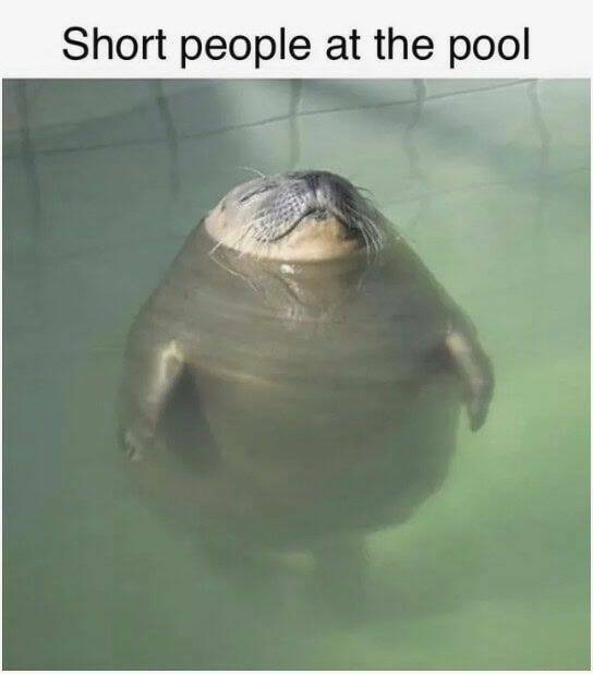 Hilarious Short People Memes