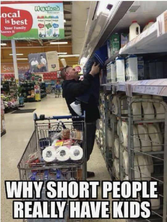 Hilarious Short People Memes