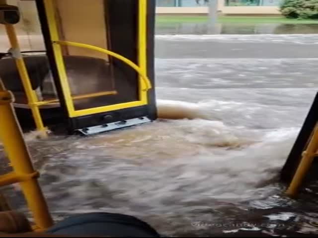 Water Bus