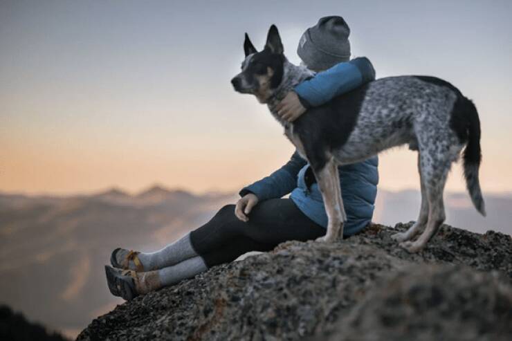 Heartfelt Epitaphs For Beloved Dogs From Ancient Greece And Rome