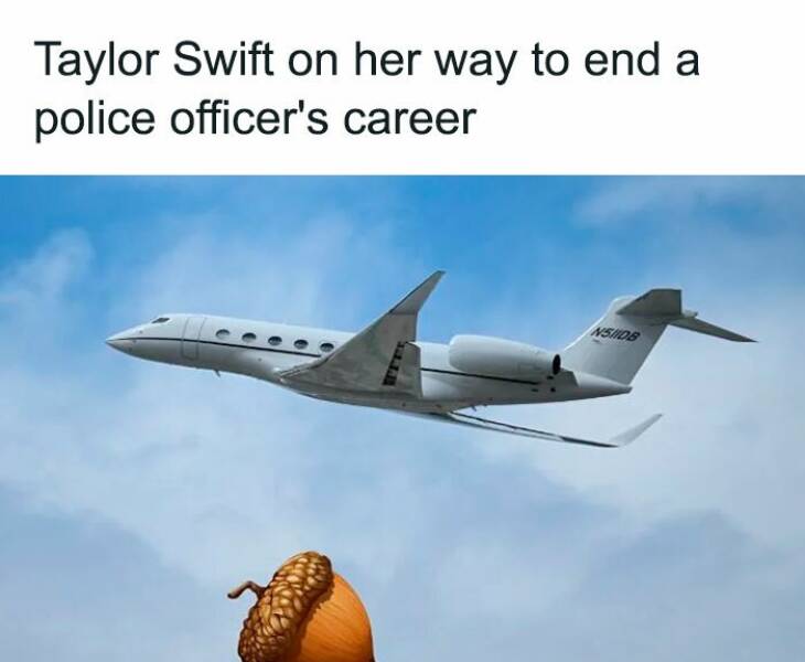 Hilarious Taylor Swift Memes To Brighten Your Day