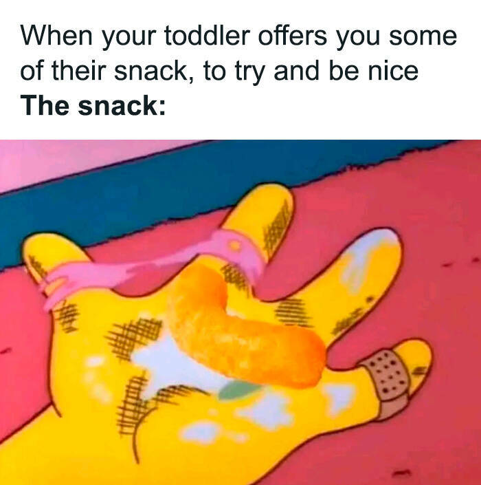 Hilarious Toddler Memes Every Parent Can Relate To
