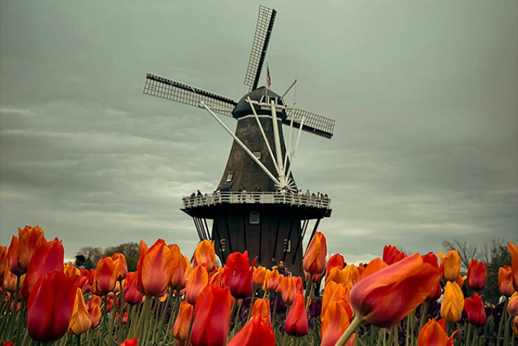Surprising Historical Facts You Wont Learn In School