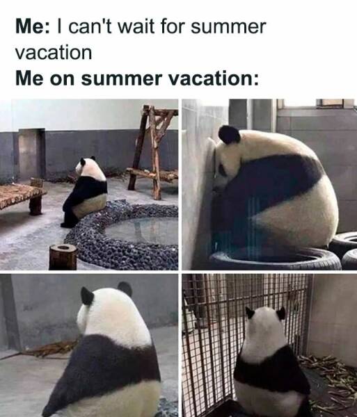 Hilarious Vacation Memes To Make You Laugh