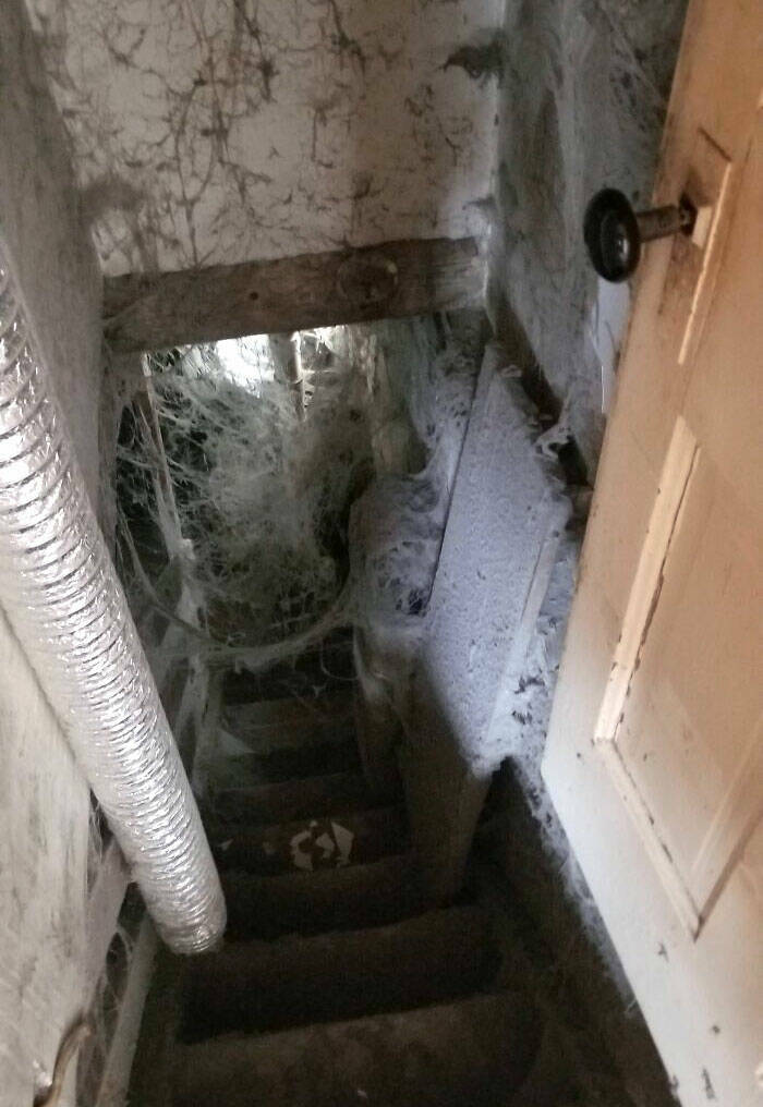 Terrifying Basement Discoveries Homeowners Couldnt Keep To Themselves
