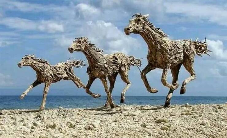 Unbelievable Snapshots: Proof That Reality Is Full Of Surprises