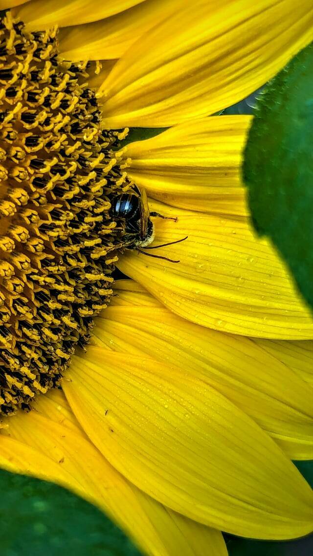 Unique Snapshots That Are Mildly Captivating