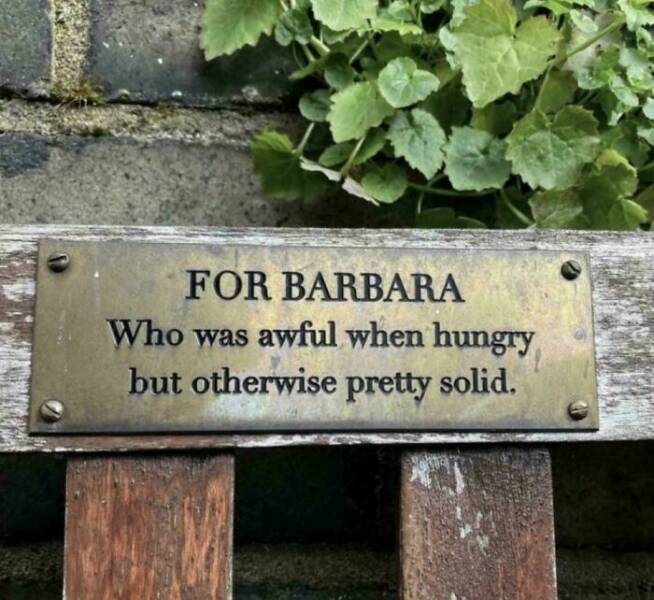 Laugh-Out-Loud Worthy Signs From Around The World