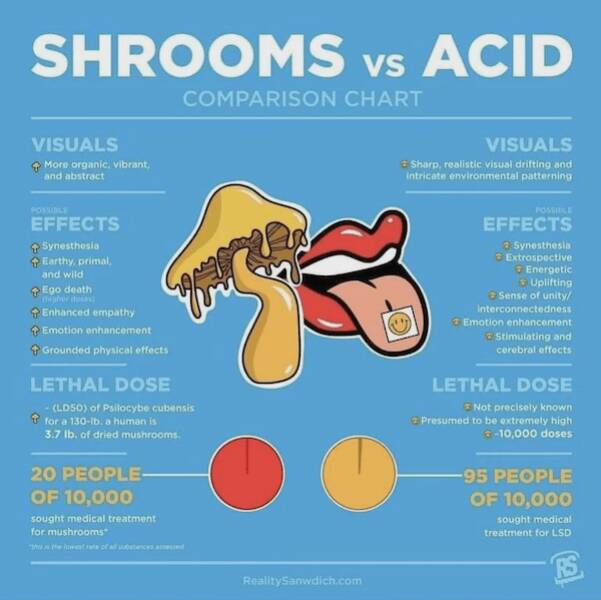 Insightful And Useful Charts You Need To See