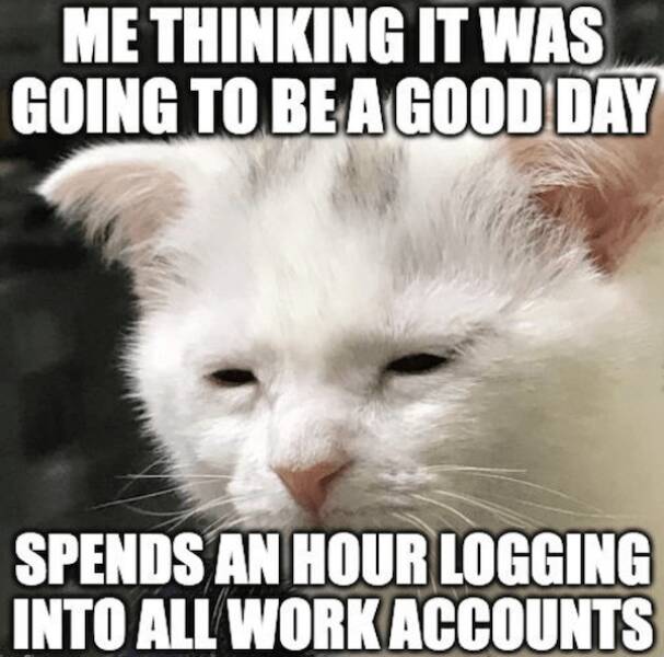 Hilarious Work Memes To Brighten Your Office Day