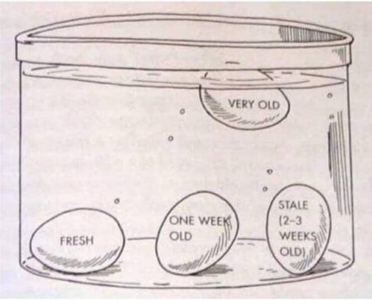 Fascinating Food And Cooking Charts To Boost Your Culinary IQ