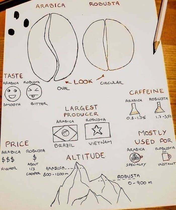 Fascinating Food And Cooking Charts To Boost Your Culinary IQ