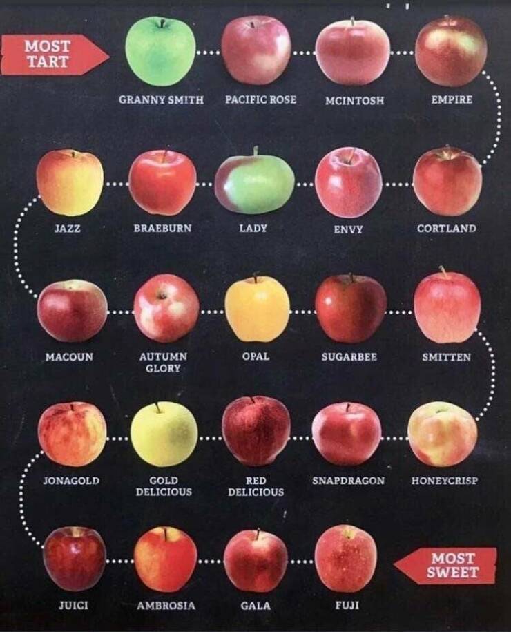 Fascinating Food And Cooking Charts To Boost Your Culinary IQ