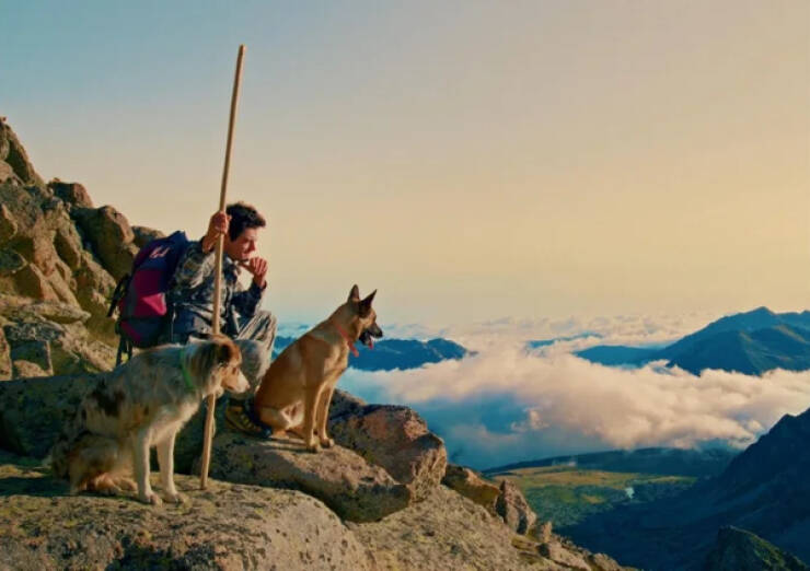 Heartwarming Working Dogs On Duty