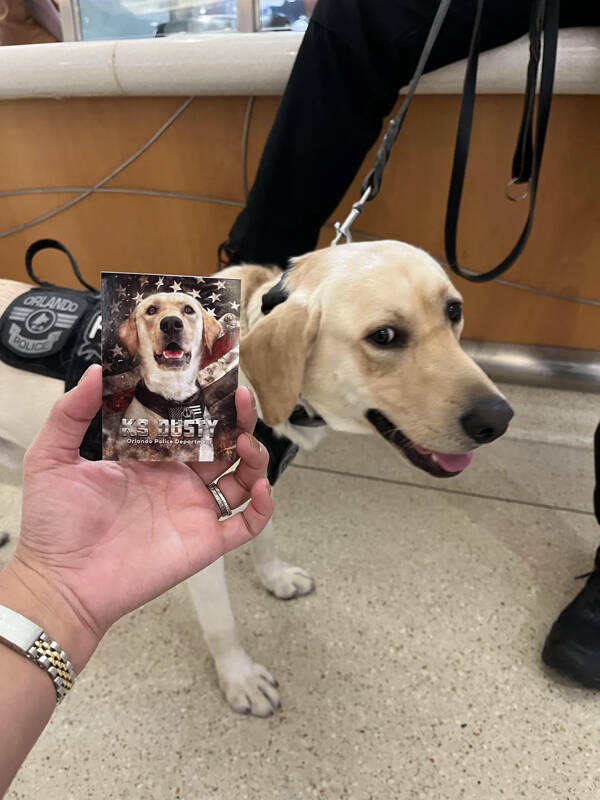 Heartwarming Working Dogs On Duty