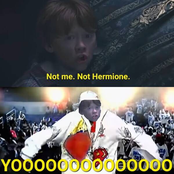 Hilarious Harry Potter Movie Memes For Fans