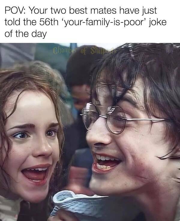 Hilarious Harry Potter Movie Memes For Fans