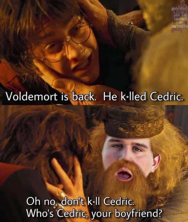 Hilarious Harry Potter Movie Memes For Fans