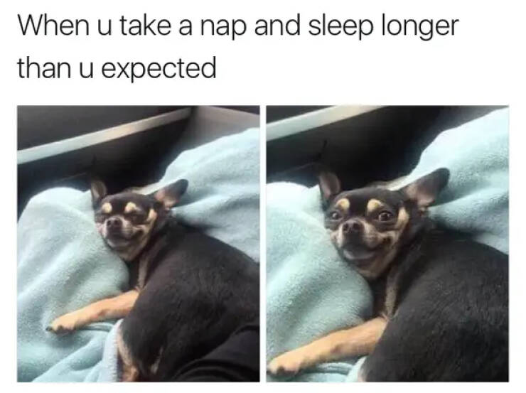 Hilarious Sleep Memes That Will Keep You Awake