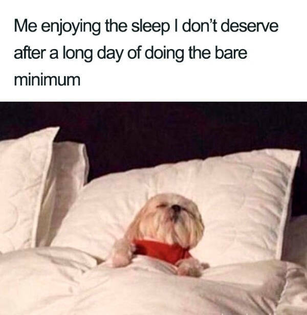 Hilarious Sleep Memes That Will Keep You Awake