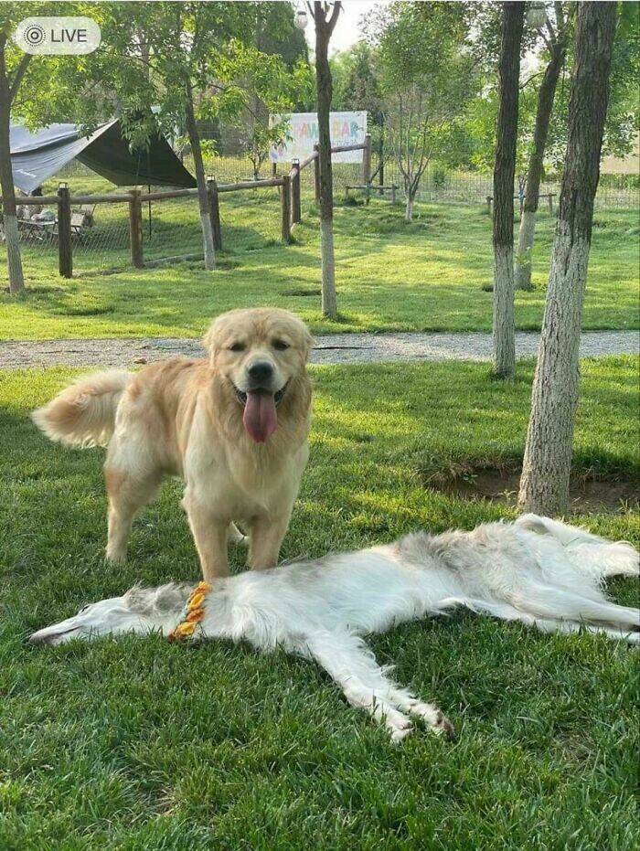 Mind-Bending Photos That Will Make You Look Twice