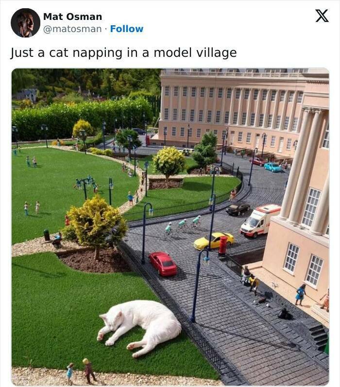 Mind-Bending Photos That Will Make You Look Twice