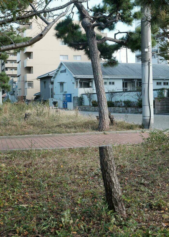 Mind-Bending Photos That Will Make You Look Twice