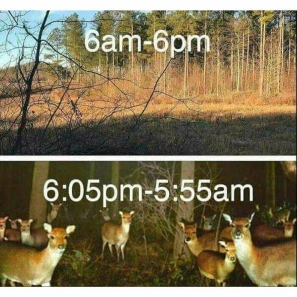 Fishing And Hunting Memes For Outdoor Enthusiasts