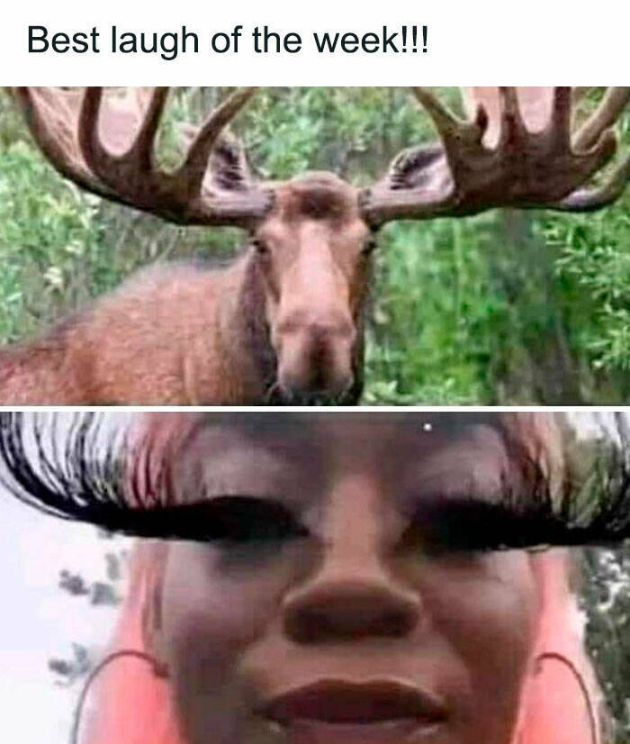 Fishing And Hunting Memes For Outdoor Enthusiasts
