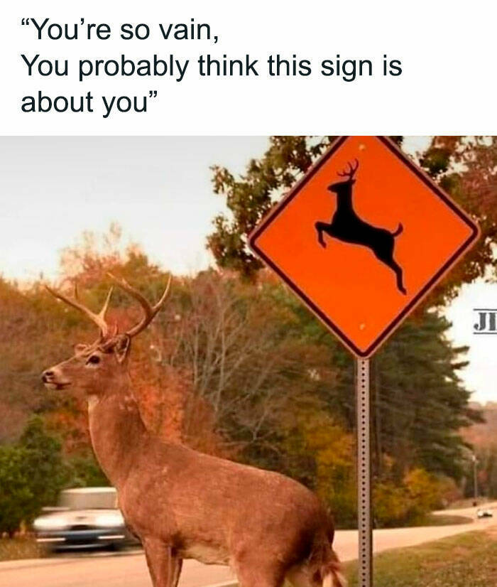 Fishing And Hunting Memes For Outdoor Enthusiasts