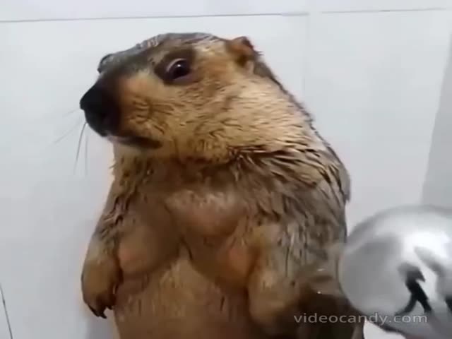 Time To Take A Bath