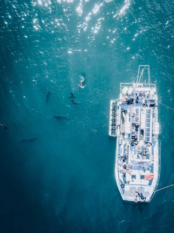 Eerie Ocean Images That Will Give You Nightmares