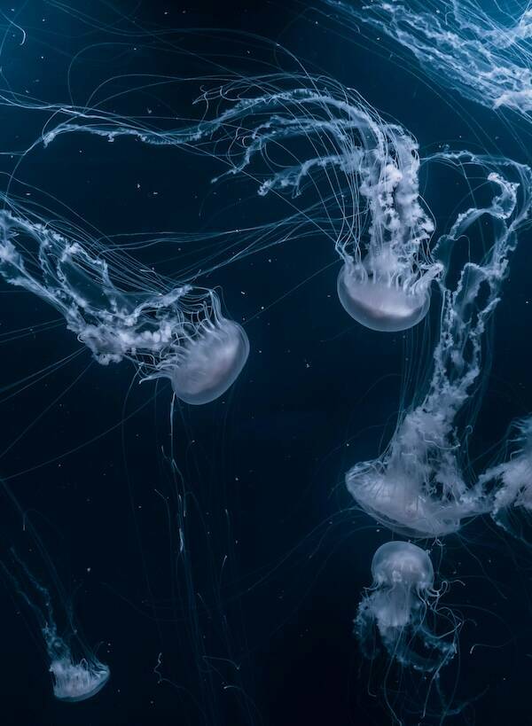 Eerie Ocean Images That Will Give You Nightmares