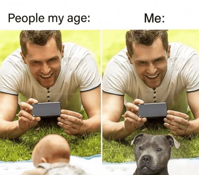 Memes Every Dog Lover Will Relate To