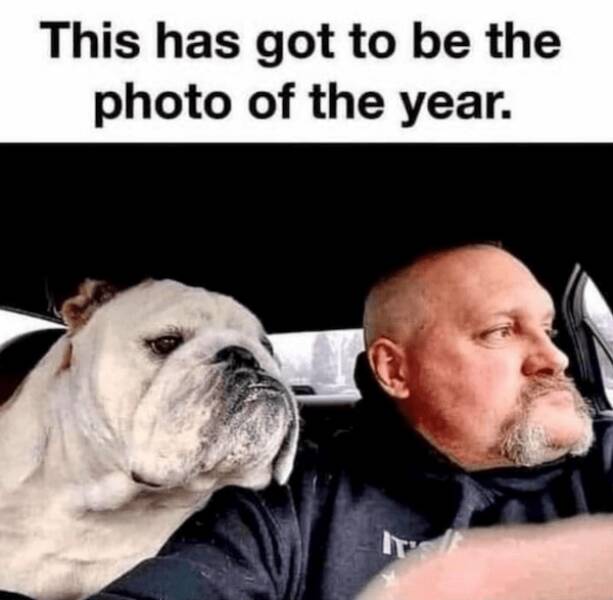 Memes Every Dog Lover Will Relate To