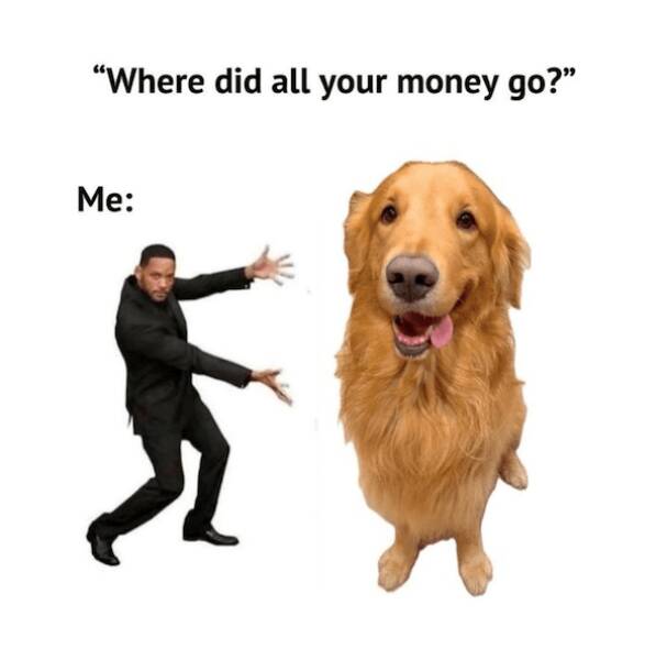 Memes Every Dog Lover Will Relate To