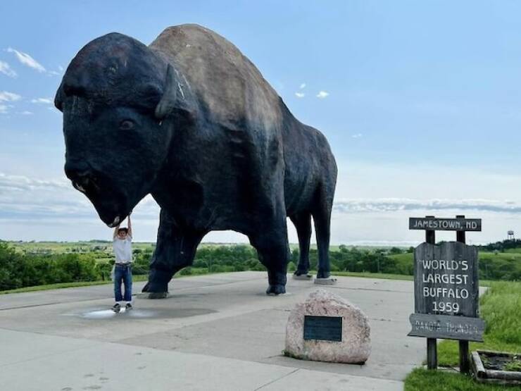 Must-See Roadside Attractions For Your Next Road Trip