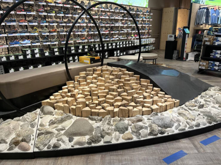 Curious And Eye-Catching Random Snapshots