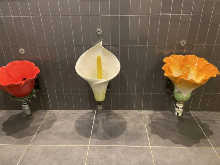 Curious And Eye-Catching Random Snapshots