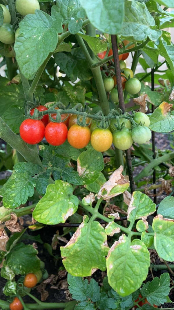 Curious And Eye-Catching Random Snapshots