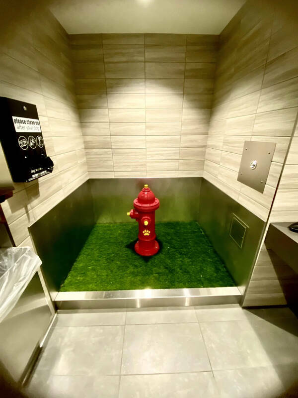 Curious And Eye-Catching Random Snapshots