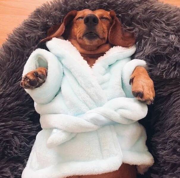 Daily Picdump