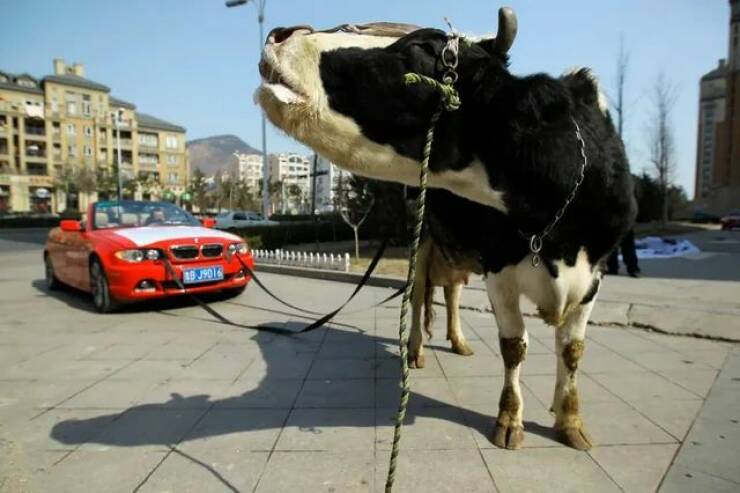 Daily Picdump