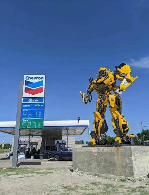 Daily Picdump
