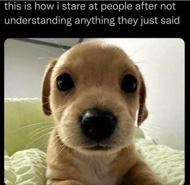 Funny Picdump
