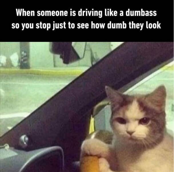 Funny Picdump