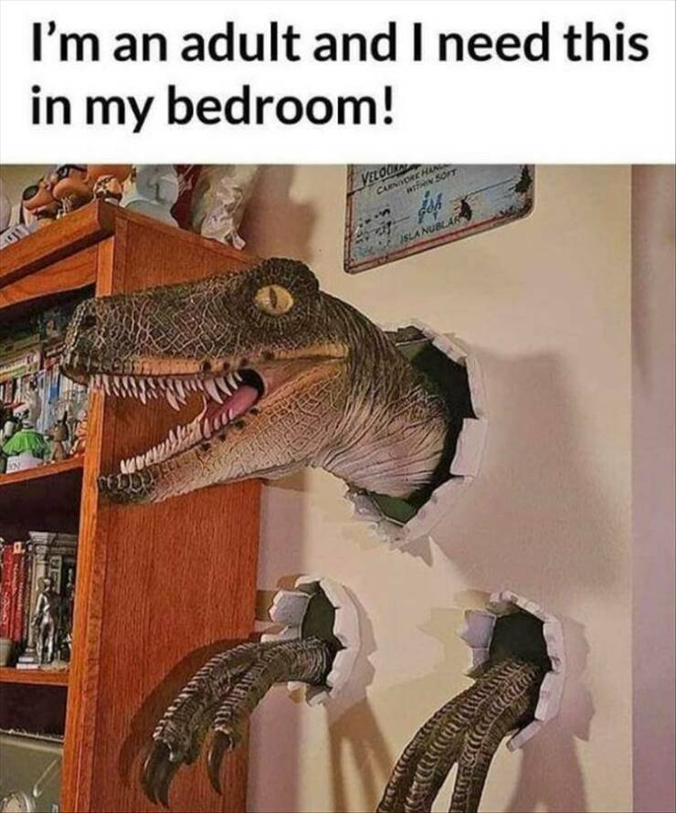 Funny Picdump