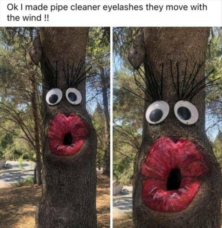 Funny Picdump