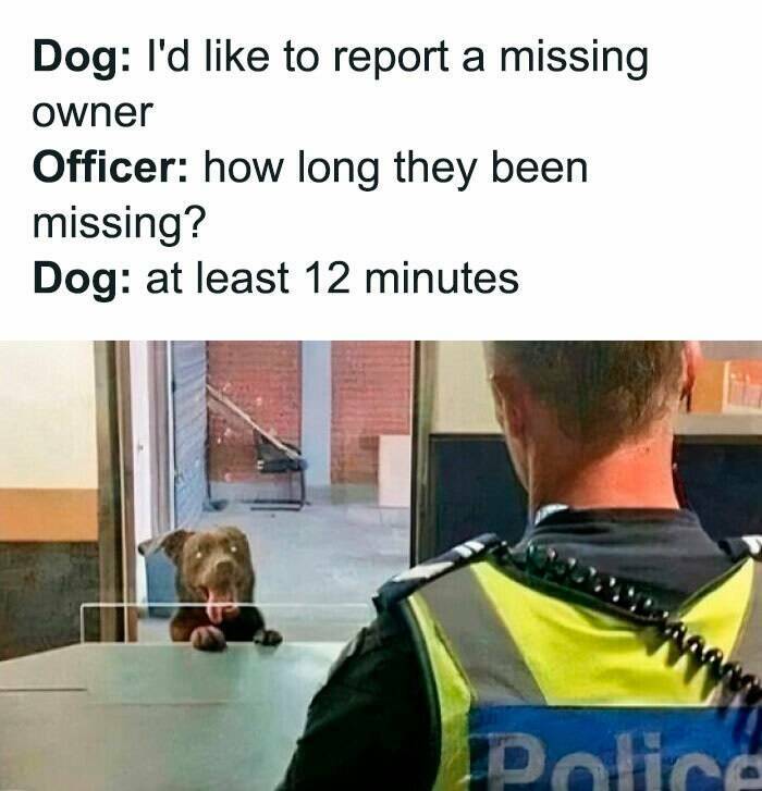 Hilarious And Random Memes To Lift Your Spirits