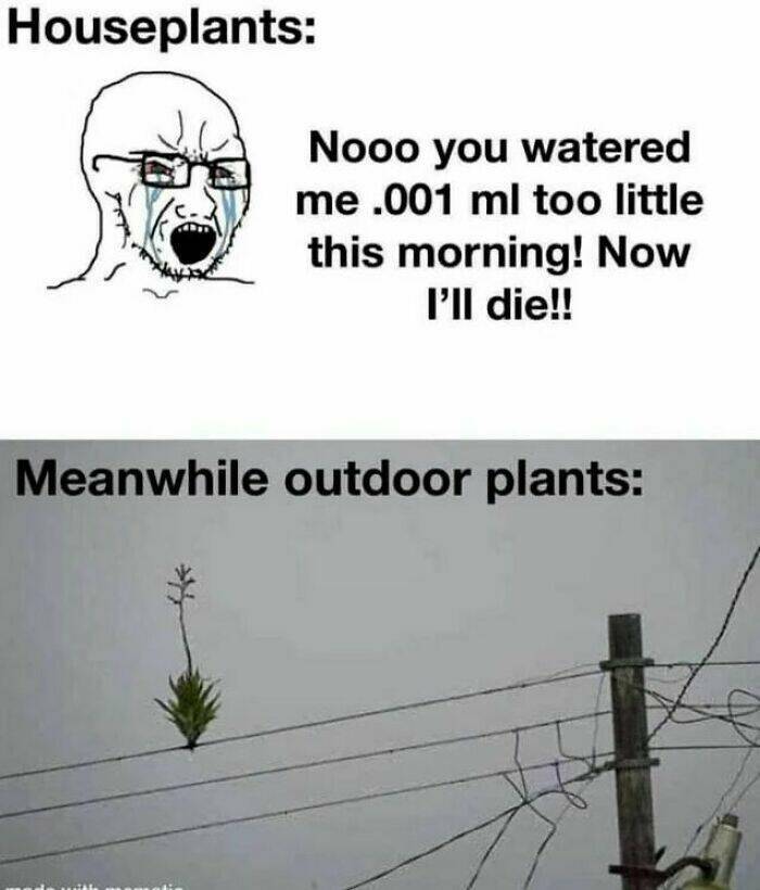 Hilarious And Random Memes To Lift Your Spirits